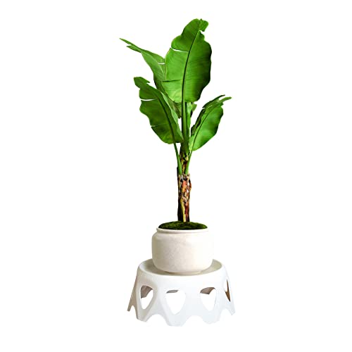 belupai Mini-Kunststoff-Hocker-Präsentationsständer, Runder Kunststoff-Hocker, Pflanzenständer, Garten-Blumentopf-Erhöhung, Moderner Blumen-Display-Halter für Drinnen und Draußen,(Weiße) von belupai