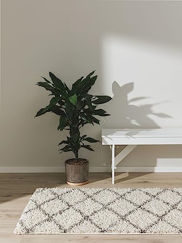 benuta pop Hochflorteppich Soho - Kunstfaser - Läufer & im Style: Berber, Geometrisch,Traditionell, Boho-Style, Hygge & Cozy - Pflegeleicht für Wohnzimmer Schlafzimmer, Cream, 80x300 cm von benuta