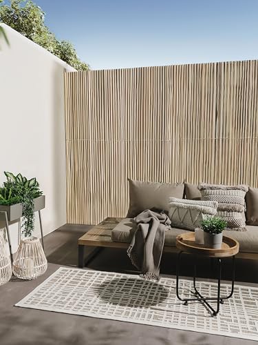 benuta Basic Flora - Kunstfaser - Läufer & im Style: Abstrakt,Botanicals & Florals, Geometrisch - Pflegeleicht für Wohnzimmer Schlafzimmer, Beige A2, 80x250 cm von benuta