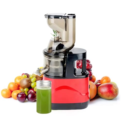 Kaltpress-Entsafter Saft-Fruchtfleisch-Trennung für Obst & Gemüse – 95% Saftausbeute durch schonendes Slow Juicing, leiser Betrieb unter 60 dB, 500 W Reinkupfermotor von bergxperten