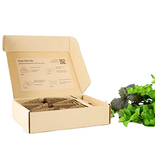 PlantPlugs | Asiatische Kräutermischung 8-Pack PlantPlugs | Asiatische Kräutermischung 8-Pack von berlingreen