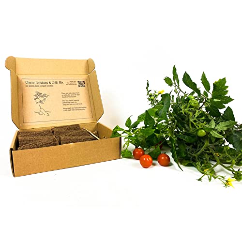 PlantPlugs │ Cherry Tomato & Chili Mix 8 Pack PlantPlugs │ Cherry Tomato & Chili Mix 8 Pack von berlingreen