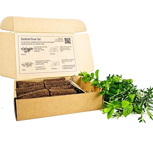 PlantPlugs | Cocktail Grow Set 8-Pack PlantPlugs | Cocktail Grow Set 8-Pack von berlingreen