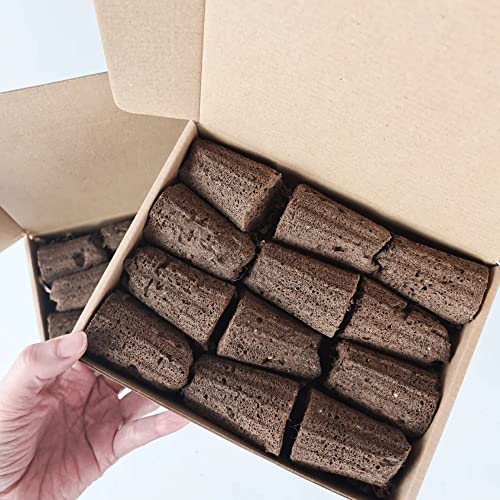 PlantPlugs | Experimental Set (without seeds) 24-pack von berlingreen