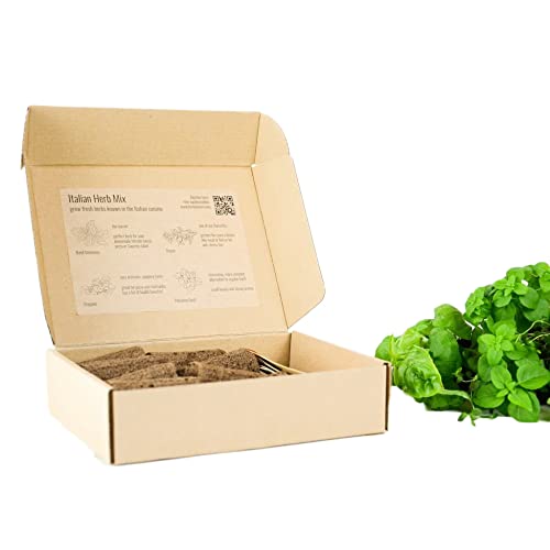 PlantPlugs | Italienische Kräutermischung 8er-Pack von berlingreen