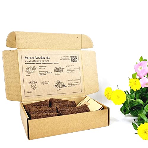 PlantPlugs │ Sommerwiesen-Mix 8er-Pack von berlingreen