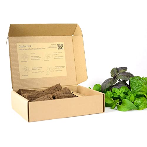 PlantPlugs | Starter Set 8-Pack PlantPlugs | Starter Set 8-Pack von berlingreen