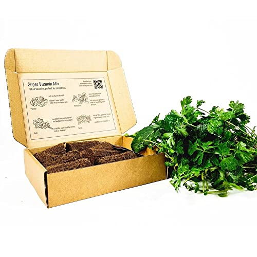 PlantPlugs │ Super-Vitamin-Mix 8er-Pack von berlingreen