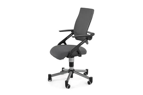 Creo Ergonomischer Schreibtischstuhl mit Lendenwirbelstütze | Höhenverstellbar Drehstuhl mit Atmungsaktiver Rückenlehne für das Büro Arbeitszimmer | Arbeitsstuhl Rollstuhl (Anthrazit / Anthrazit) von berrakcreo