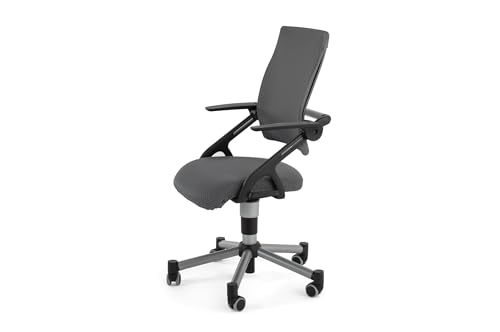 Creo Ergonomischer Schreibtischstuhl mit Lendenwirbelstütze | Höhenverstellbar Drehstuhl mit Atmungsaktiver Rückenlehne für das Büro Arbeitszimmer | Arbeitsstuhl Rollstuhl (Anthrazit / Anthrazit) von berrakcreo