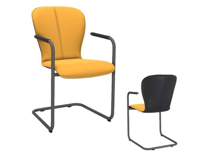 Bert Plantagie Esszimmerstuhl Blake Freischwinger 624A oder 627A mit Bi-Color-Polsterung und Armlehnen moderner Schwingstuhl Ausführung wählbar Bert Plantagie Esszimmerstuhl Blake Freischwinger 624A oder 627A mit Bi-Color-Polsterung und Armlehnen moderner Schwingstuhl Ausführung wählbar von bert-plantagie