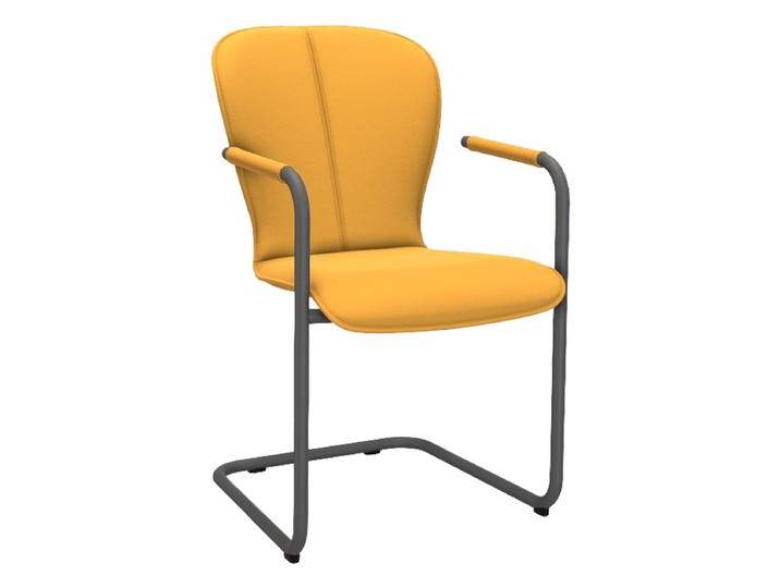 Bert Plantagie Esszimmerstuhl Blake Freischwinger 624A oder 627A mit Uni-Polsterung Esszimmerstuhl mit Armlehnen Schwingerstuhl Ausführung wählbar Bert Plantagie Esszimmerstuhl Blake Freischwinger 624A oder 627A mit Uni-Polsterung Esszimmerstuhl mit Armlehnen Schwingerstuhl Ausführung wählbar von bert-plantagie