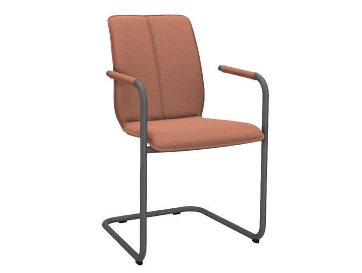 Bert Plantagie Esszimmerstuhl Tara Freischwinger 824A oder 827A Armlehnenstuhl mit Uni-Bezug Gestellausführung und Bezug in Leder oder Stoff wählbar Bert Plantagie Esszimmerstuhl Tara Freischwinger 824A oder 827A Armlehnenstuhl mit Uni-Bezug Gestellausführung und Bezug in Leder oder Stoff wählbar von bert-plantagie