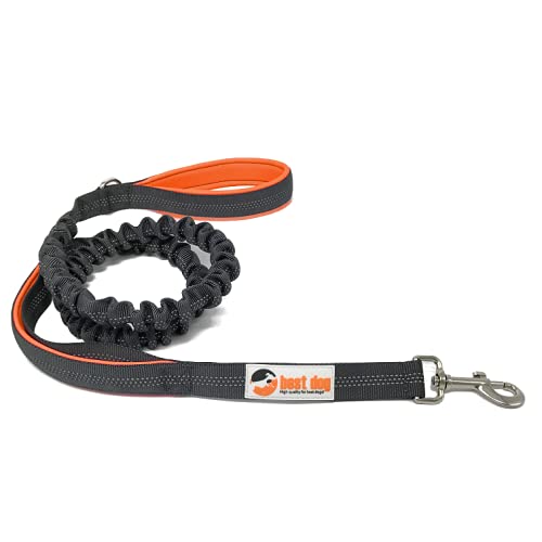 Best Dog Premium Hundeleine für große Hunde (Orange-Grau) von best dog