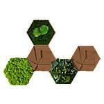 Best of GREEN Kork-Hexagon Set mit 5 Grün, Braun von best of GREEN