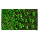 Best of GREEN Moos-Wand 100 x 60 cm weißer Rahmen von best of GREEN
