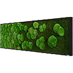 Best of GREEN Moos-Wand 140 x 40 cm schwarzer Rahmen von best of GREEN