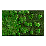 Best of GREEN Moos-Wand 140 x 40 cm weißer Rahmen von best of GREEN