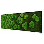 Best of GREEN Moos-Wand 140 x 40 cm weißer Rahmen von best of GREEN