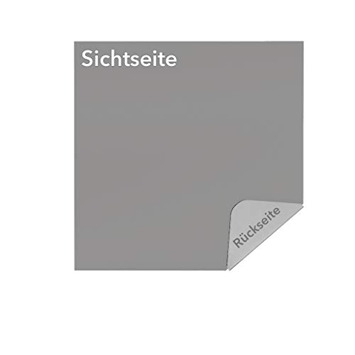 Blechzuschnitt nach Maß aus Aluminium 1,5 mm farbbeschichtet in RAL 9006 (Weißaluminium) - einseitig mit Schutzfolie - 10 x 50 cm (100 x 500 mm) von bestell-dein-Blech