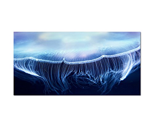120x80 cm - Qualle ( Medusa oder Meduse ) in einer Nahuafnahme ( Macro ) Leuchtet im dunklen Meer. Die Tentakel sind gut zu sehen. - Bild auf Keilrahmen modern stilvoll - Bilder und Dekoration von bestforhome