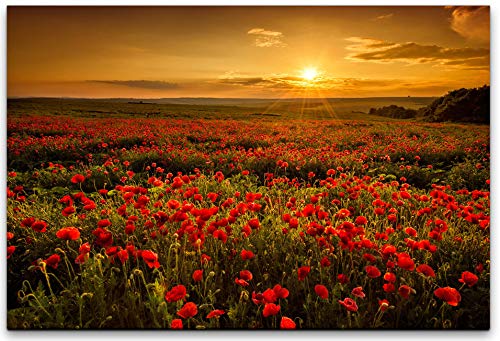 bestforhome-120x80cm Leinwandbild Sommerwiese Mohnblumen beim blühen auf Feld (Mohnblumenfeld) bei Sonnenuntergang. Wolken am Himmel Leinwand auf Holzrahmen von bestforhome