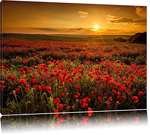 Leinwandbild Mohnblumen beim blühen bei Sonnenaufgang von bestforhome