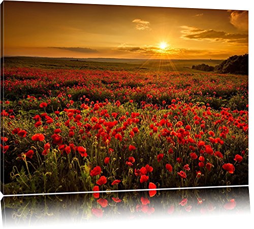 Leinwandbild Panorama Landschaftsbild Mohnblumen beim blühen, Mohnfeld bei Sonnenuntergang in tollen warmen Farben! Wolken am Himmel! EIN Leinwandbild für Jede Wand (80 x 60 cm) von bestforhome