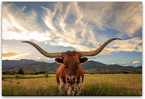 bestforhome 100x70cm Leinwandbild Texas Longhorn Rind von vorn fotografiert Leinwand auf Holzrahmen von bestforhome