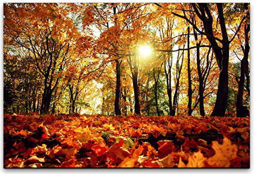 bestforhome 120x80cm Leinwandbild Herbst Wald mit bunten Blättern Leinwand auf Holzrahmen von bestforhome