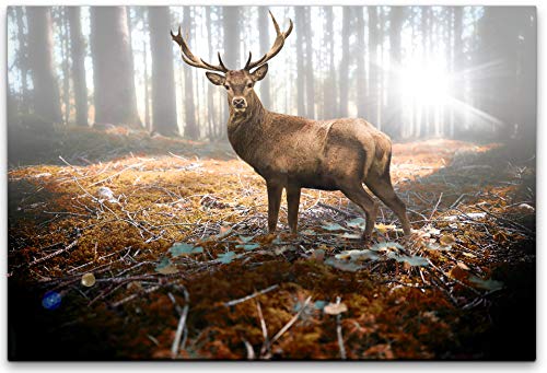 bestforhome 90x60cm Leinwandbild Hirsch im Wald in der Sonne Leinwand auf Holzrahmen von bestforhome