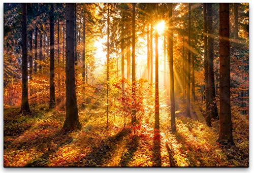 bestforhome 90x60cm Leinwandbild Wald im Herbst im Sonnenschein Leinwand auf Holzrahmen von bestforhome