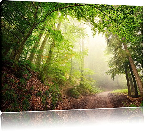 bestforhome Sonnenstrahlen Waldweg, Format: 120x80cm auf Leinwand von bestforhome