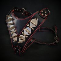 Bestia™ "Edelstahl" Leder Brustgeschirr Für Große Hunde. Pitbull. Dogo. Bulldog. Rottweiler. Gepolstert. Handgemacht in Der Eu. Top Qualität von bestiadoggear