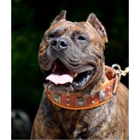 Bestia™ "Eros" Hundehalsband. 100% Echtleder. 6, 3 cm Breit. Weich Gepolstert. Cane Corso, Dogo, Rottweiler. Top Qualität Made in Europe von bestiadoggear