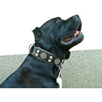 Bestia™ "Hektor" Echtleder Hundehalsband. Einzigartiges Design. 6, 3 cm Breit. 100% Leder. Gepolstert. Top Qualität. M Bis Xxl. Handgemacht von bestiadoggear
