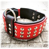 Bestia ™ "star" Echtes Lederhalsband Mit Nieten Und Weichem Lederpolster. Braun, Weiß, Rot, Blau. 2, 5 Zoll Breit. Handgemacht in Europa von bestiadoggear