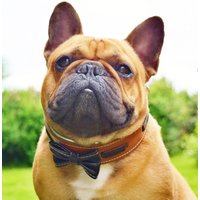 Das Bestia™ "Bowtie" Halsband. 100% Echtleder. Handgefertgit. 5 cm Breit. Bulldog Design. Einzigartige Qualität Von Bestia. Made in Europa von bestiadoggear