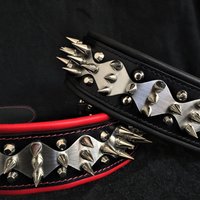 Das "stahl" Halsband Das "stahl" Halsband von bestiadoggear