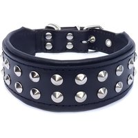 Echtes Lederhalsband "Boston" Von Bestia ™. Innen Besetzt Und Weich Gepolstert. 2 Zoll Breit. Größen S Oder M. Bulldog von bestiadoggear