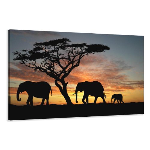 bestpricepictures 120 x 80 cm Bild auf Leinwand Afrika Elefant 5066-SCT deutsche Marke und Lager - Die Bilder/das Wandbild/der Kunstdruck ist fertig gerahmt von Visario