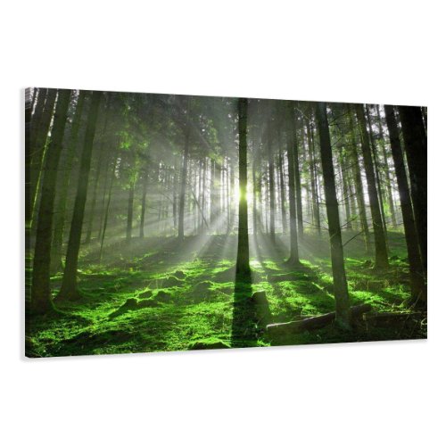 bestpricepictures 120 x 80 cm Bild auf Leinwand Bäume Wald 5130-SCT deutsche Marke und Lager - Die Bilder/das Wandbild/der Kunstdruck ist fertig gerahmt von Visario