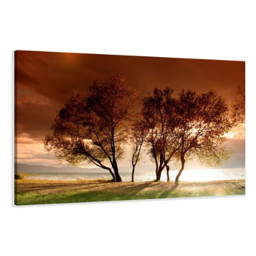 bestpricepictures 120 x 80 cm Bild auf Leinwand Natur Bäume 5025-SCT deutsche Marke und Lager - Die Bilder/das Wandbild/der Kunstdruck ist fertig gerahmt von Visario