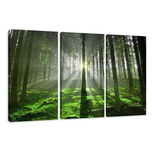 bestpricepictures 160 x 90 cm Bild auf Leinwand Bäume Wald 1130-SCT deutsche Marke und Lager - Die Bilder/das Wandbild/der Kunstdruck ist fertig gerahmt von Visario