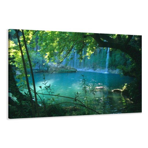 bestpricepictures 80 x 60 cm Bild auf Leinwand Bäume 4164-SCT deutsche Marke und Lager - Die Bilder/das Wandbild/der Kunstdruck ist fertig gerahmt von Visario