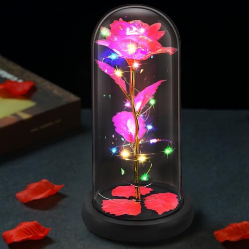 Ewige Rose im Glas mit LED Licht, Die Schöne Und Das Biest Rose mit Einer wunderschönen Geschenkbox, Geschenke für Frauen, Mama, Mutter, Freundin,Lange Haltbarkeit von bestyks