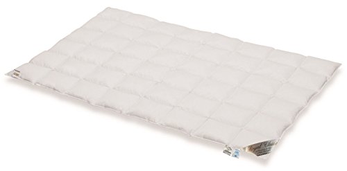 betten-traum-land Typ Eiderdaune Aktion% Royal Classic Winterdecke Hochsteg Daunendecke Klasse 1 ☆☆☆☆☆ (155x220 cm) von betten-traum-land