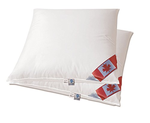 betten-traum-land Angebot 2 Air-O-Cell Pure Classic Kissen 80x80 Füllmenge ca. 900 g 80% Federn/Daune 20% Air-O-Cell Stäbchen von betten-traum-land