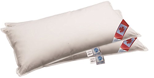 betten-traum-land NEUHEIT: 2 Premium Air-O-Cell 3-Kammer Kissen außen 100% Daune 40x80 cm von betten-traum-land