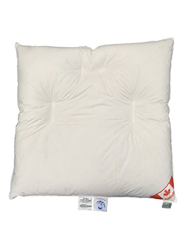 Bauchschläferkissen Canadian Goose 80x80 cm weiße canadische Gänse Daunen 600g 100% Natur von betten-traum-land